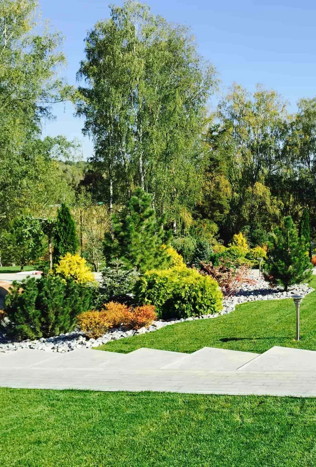 Landscape